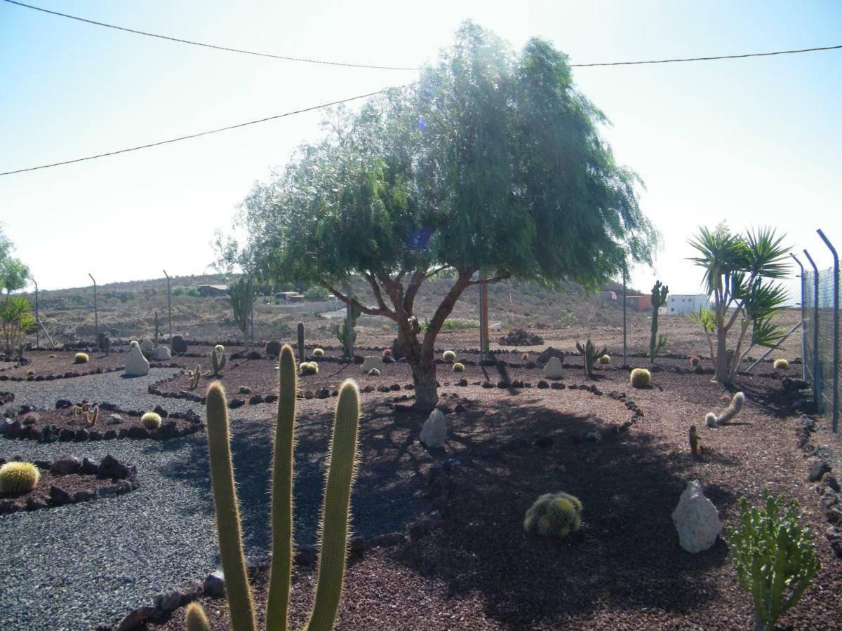 סן איסידרו Casa Rural San Jose מראה חיצוני תמונה